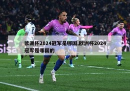 欧洲杯2024冠军是哪国,欧洲杯2024冠军是哪国的