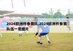 2024欧洲杯参赛队,2024欧洲杯参赛队伍一览图片