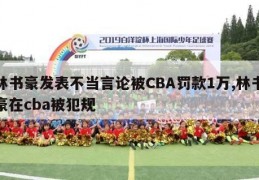 林书豪发表不当言论被CBA罚款1万,林书豪在cba被犯规