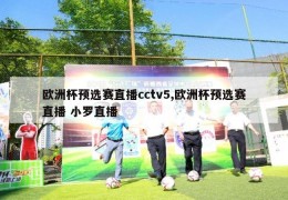 欧洲杯预选赛直播cctv5,欧洲杯预选赛直播 小罗直播