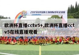 欧洲杯直播cctv5+,欧洲杯直播cctv5在线直播观看