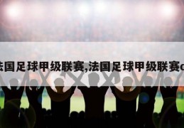 法国足球甲级联赛,法国足球甲级联赛ds