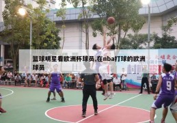 篮球明星看欧洲杯球员,在nba打球的欧洲球员