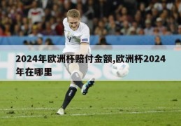 2024年欧洲杯赔付金额,欧洲杯2024年在哪里