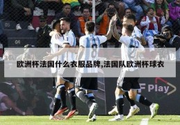 欧洲杯法国什么衣服品牌,法国队欧洲杯球衣