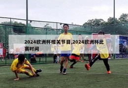 2024欧洲杯相关节目,2024欧洲杯比赛时间