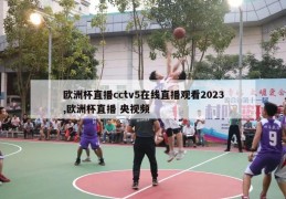 欧洲杯直播cctv5在线直播观看2023,欧洲杯直播 央视频