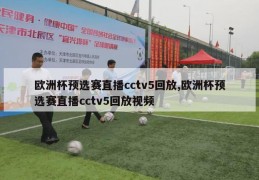 欧洲杯预选赛直播cctv5回放,欧洲杯预选赛直播cctv5回放视频