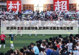 欧洲杯主题法国球场,欧洲杯法国主场在哪里