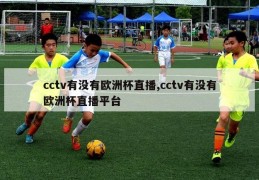 cctv有没有欧洲杯直播,cctv有没有欧洲杯直播平台